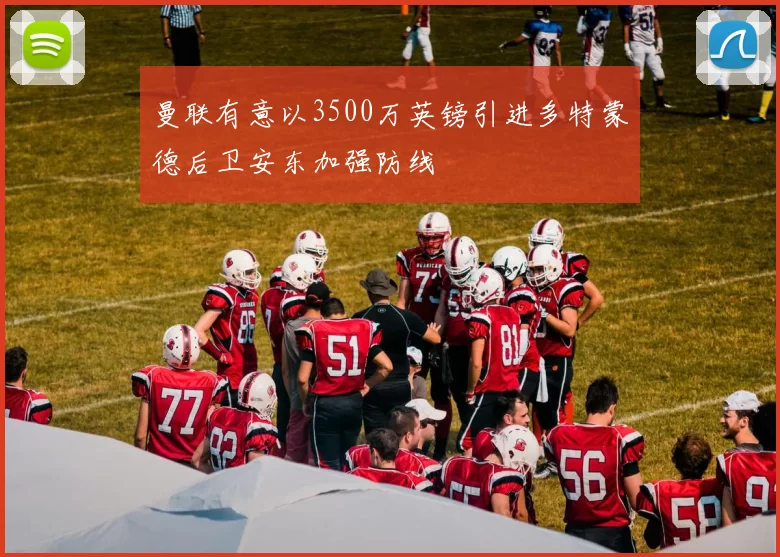 曼联有意以3500万英镑引进多特蒙德后卫安东加强防线