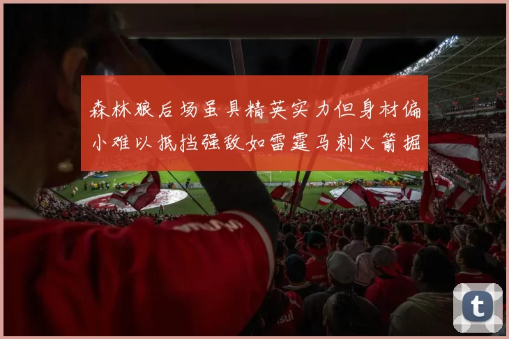森林狼后场虽具精英实力但身材偏小难以抵挡强敌如雷霆马刺火箭掘金